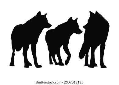 Wölfe laufen in verschiedenen Positionen, Silhouette-Set-Vektorgrafik. Erwachsene Wolf-Silhouette-Sammlung auf weißem Hintergrund. Wilde Fleischfresser wie Wölfe und Kojoten, Ganzkörpersilhouettenpackungen.