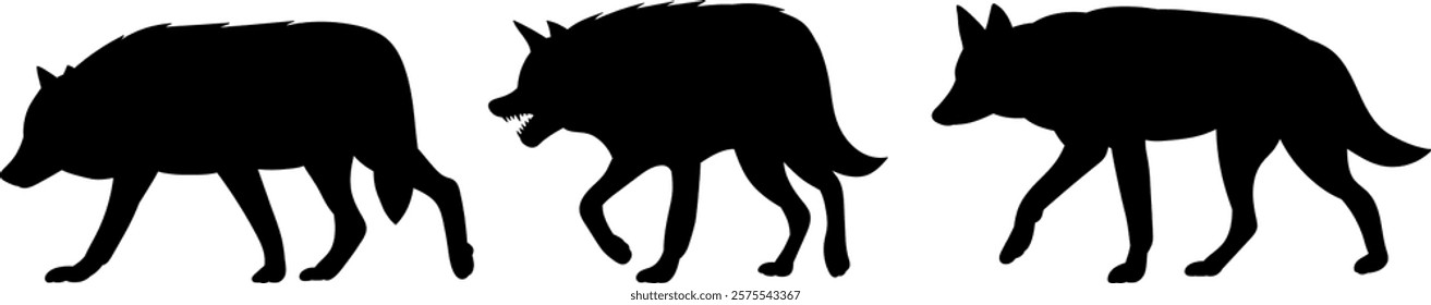 wolves walking set silhouette on white background vector