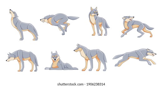 Wolves wild animals set of vector illustrations. Canis lupus. A dangerous animal-a mammal. A forest creature with gray fur. A character in various poses of cartoon design. Vector isolated background.