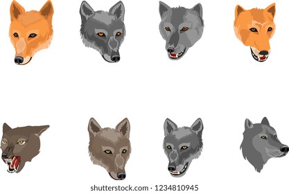 Wolves's heads set isolated on white vector illustration