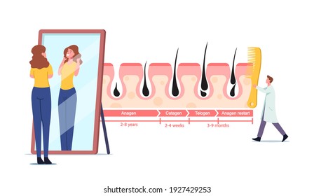 Woman Admire of her Shag in Mirror. Tiny Doctor Character with Huge Comb at Infographics Hair Growth and Loss Cycles. Anagen, Catagen, Telogen and Anagen Restart. Cartoon People Vector Illustration