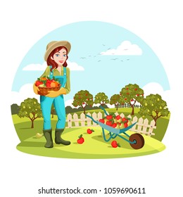 Woman agrarian gathering garden apples or picking pears. Female farmer or gardener standing near wheelbarrow with fruits. Organic and healthy food cultivation, natural nutrition and countryside theme