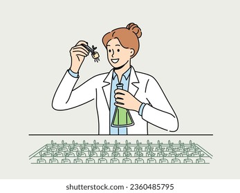 Woman agricultural scientist examines plants in laboratory, selecting new varieties of wheat. Concept of food technologies and use of genetic modification by scientists in selecting to fight hunger