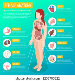 Woman anatomy infographic layout with location and definitions of internal organs in female body isometric vector illustration