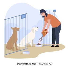 Woman Animal Shelter Feeding Homeless Hungry Dogs At Aviary Vector Flat Illustration. Female Volunteer Giving Food Assistance Doggy Pet Charity Donations Social Support Activist. Veterinary Work Care