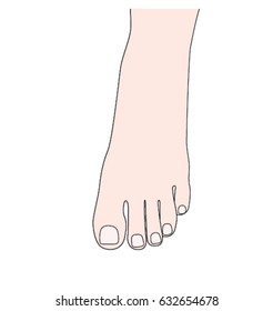 woman beautiful bared foot with pedicure.