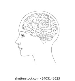 Woman, beautiful girl, brain in head concept line art vector flat design isolated on white background. Vector illustration