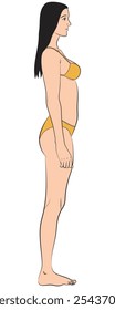 A woman in a bikini standing and looking from the side. Illustration in colors and vecyor format.