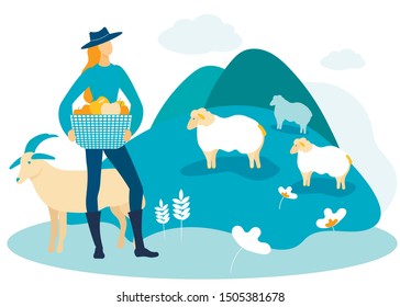 Woman in Black Boots and Blue Hat With Basket With Apples in Pasture. Sheep Graze on Field. Vector Illustration. People on Farm. Farm Products. Farm Business. Cattle Grazing in Meadow.