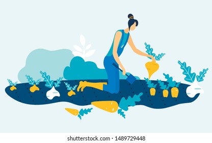 Woman in Blue Jumpsuit with Spade in Hand on Garden Bed. Grow and Harvest Vegetable. Vector Illustration. Natural Product. Woman Harvest in Garden. Farm Products. Grow Vegetables Fruit. Farm Business.