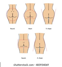 Woman Body. Buttocks Shapes. Vector Illustration.