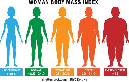 Woman Body Mass Index Vector Illustration