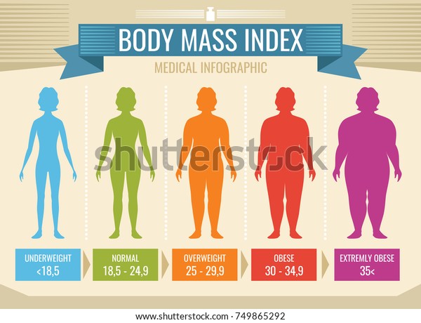 Woman body mass index\
vector medical infographic. Body mass index, obesity and overweight\
illustration