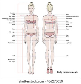 Woman body measurement chart. Scheme for measurement human body for sewing clothes. Female figure: front and back views. Model in underwear. Vector.

