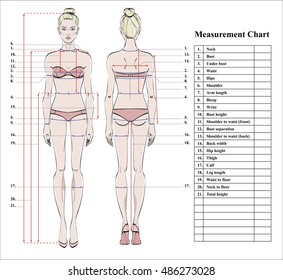 Woman body measurement chart. Scheme for measurement human body for sewing clothes. Female figure: front and back views. Model in underwear. Template for dieting, fitness. Vector.

