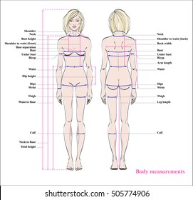 Female Body Proportions Chart