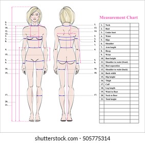 Body Measurements Chart Template from image.shutterstock.com