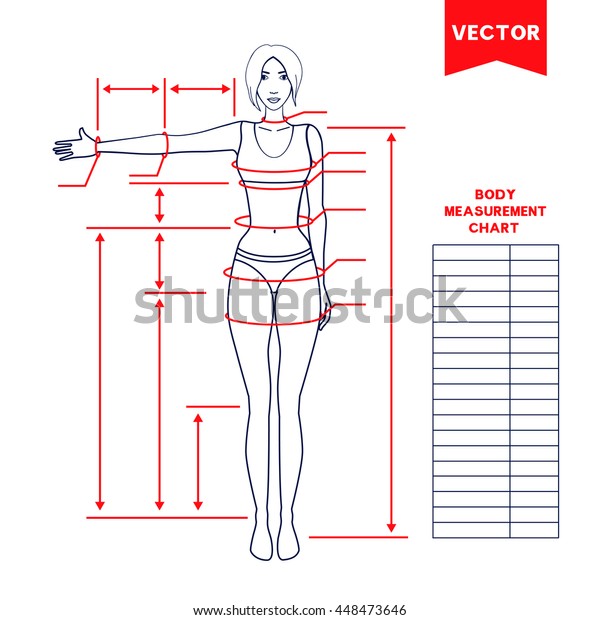 Woman Body Measurement Chart Scheme Measurement Stock Vector
