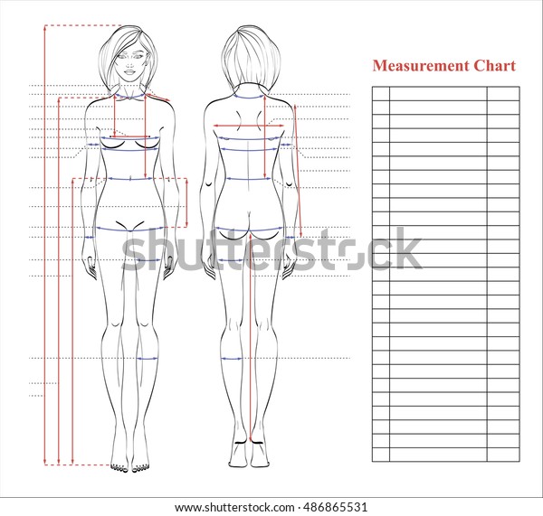 Female Body Diagram Front And Back Triceps Muscles Anatomy Muscles