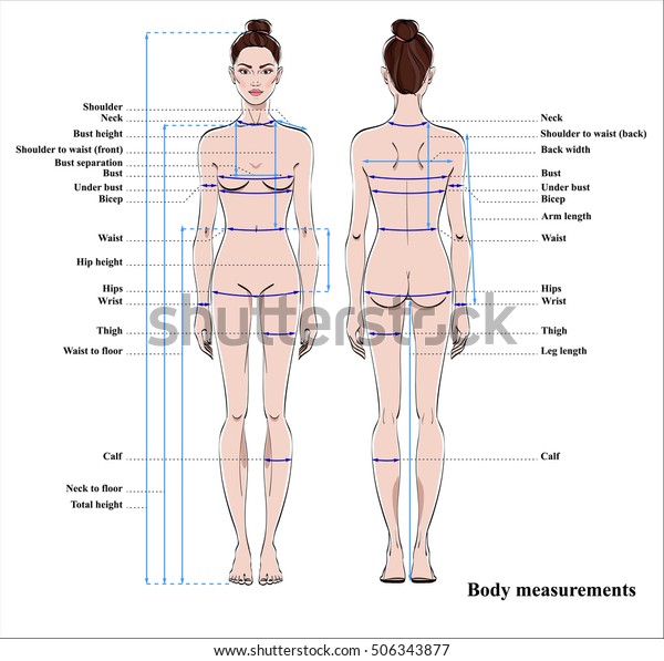 Human Body Height Chart