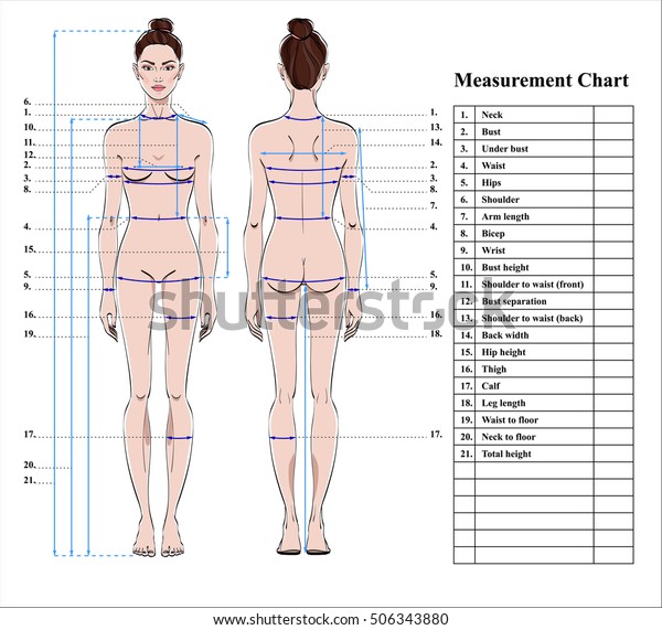 Woman Body Measurement Chart Scheme Measurement Stock