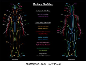 Woman with body meridians and their names - front and back view - black background.