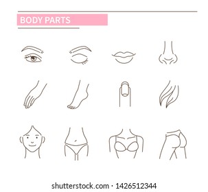 Woman body parts icons. Line style vector illustration isolated on white background.