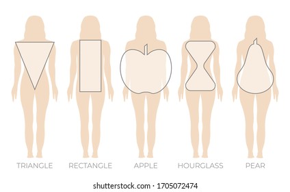 Woman Body Shape Triangle, Rectangle, Apple, Pear And Hourglass