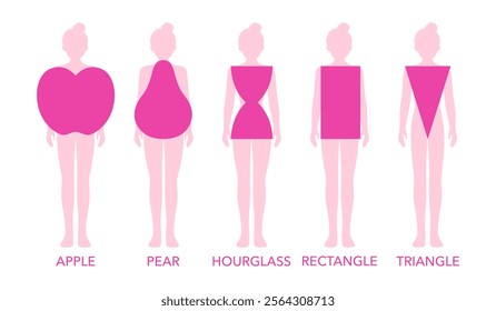 Woman Body Shapes Triangle, Rectangle, Apple, Pear and Hourglass