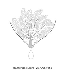 Woman breast internal structure designed in folk style. Hand drawn line art mammary gland as a symbol of maternity.