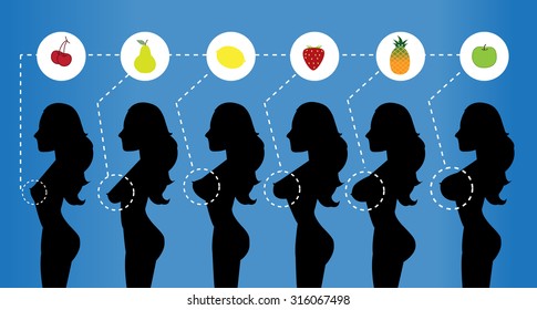 Woman breast size,vector