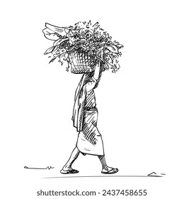 Woman carrying big basket with banana leaves and grass on her head and walking, Hand drawn sketch, Vector illustration of hard labor people isolated