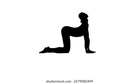 woman in Cat Pose , black isolated silhouette 