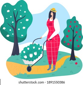 Woman character gardener hobby private garden maintenance, female hold flower cart cartoon vector illustration, isolated on white. Care fruit bearing tree, work horticultural outdoor park.