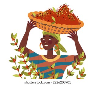 Woman Character Harvesting Coffee Carrying Basket with Fresh Fruit Vector Illustration