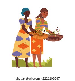 Woman Character Harvesting Coffee with Fresh Fruit in Basket Vector Illustration