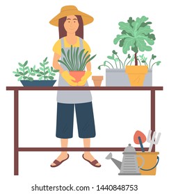 Woman character wearing hat, gloves and apron gardening. Female repotting flowers, plant on table, shovel and rake in bucket, watering can, hobby vector