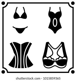 woman clothes set icon vector