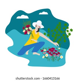 Woman collects a bouquet of wildflowers - daisies, poppies - isolated on white background - vector. Camping. Spring summer landscape