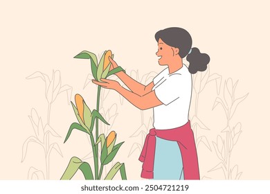 Woman collects corn from field, enjoying farming and visiting farmers plantations during harvest season. Girl farmer grows corn to sell at farmers market or produce breakfast cereal