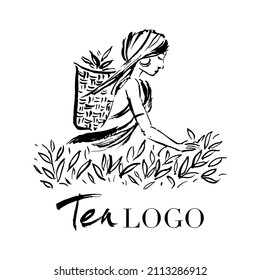 A woman collects tea leaves. Logo for a tea company.