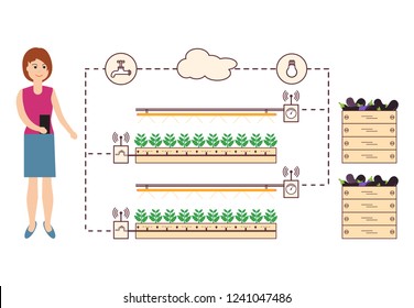 Woman controls the smart farm and agriculture. Monitoring and control of temperature, humidity, light level. Cultivation of plants. New technologies. High yield.