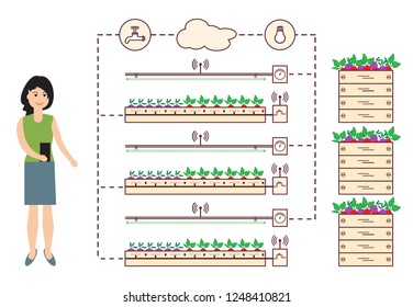 Woman controls the smart farm and agriculture. Monitoring and control of temperature, humidity, light level. Cultivation of plants. New technologies. High yield.