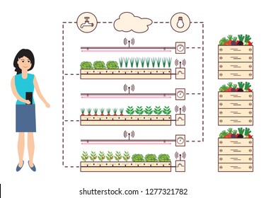 Woman controls the smart farm and agriculture. Monitoring and control of temperature, humidity, light level. Cultivation of plants. New technologies. High yield.