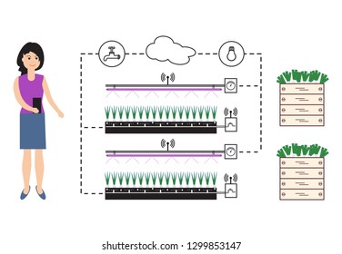 Woman controls the smart farm and agriculture. Monitoring and control of temperature, humidity, light level. Cultivation of plants. New technologies. High yield.