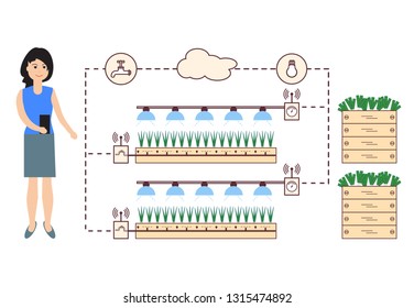 Woman controls the smart farm and agriculture. Monitoring and control of temperature, humidity, light level. Cultivation of plants. New technologies. High yield.