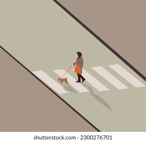 Woman crosses road at a pedestrian crossing with her dog in city park during holiday vacation. Outdoor activity concept