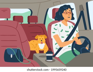 Woman with cute dog sitting inside car driving through road with seat belts fasten, flat vector illustration. Traffic rules and safety on roads concept.