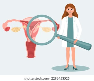 Woman doctor with magnifying glass and female uterus. Medical diagnosis of the human reproductive system, healthcare concept. Illustration, vector