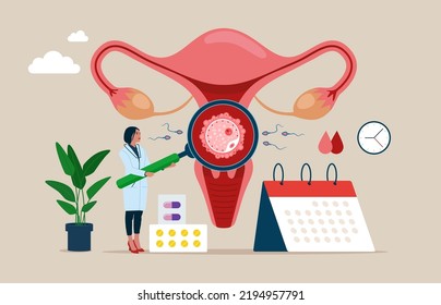 Woman doctor making uterus examination. Abstract concept of gynaecology and female health. Female doctor using magnifier to check uterus. Vector illustration